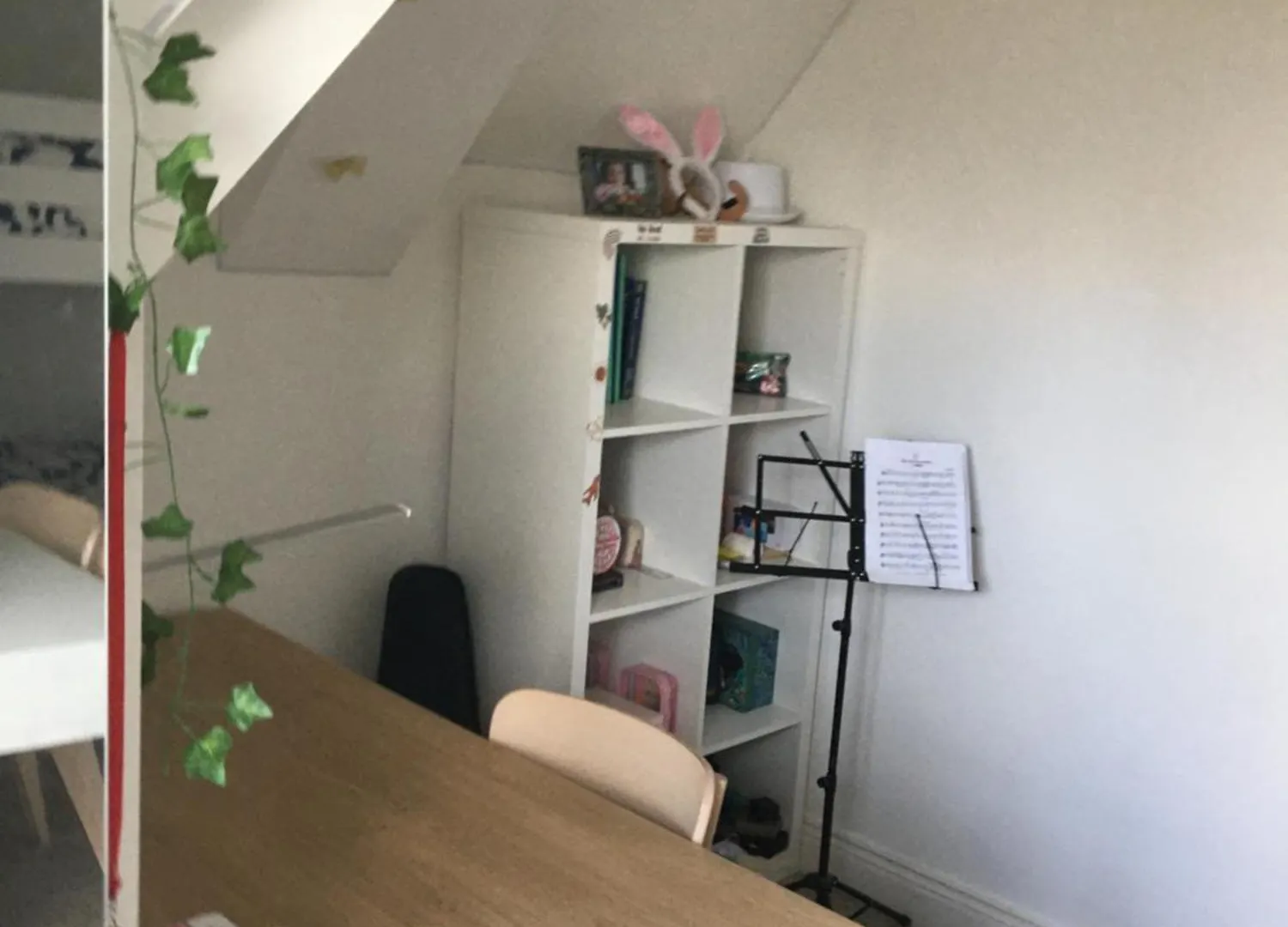 Central Spacious 3 Bedroom Apartment With Parking 都柏林